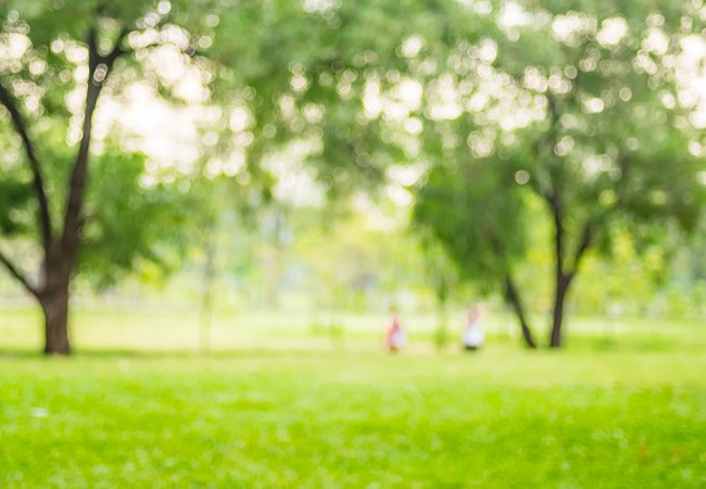 Blurred-background,People-exercise-at-green-park-with-bokeh-ligh